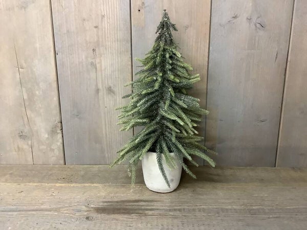 Kerstboom in pot groot