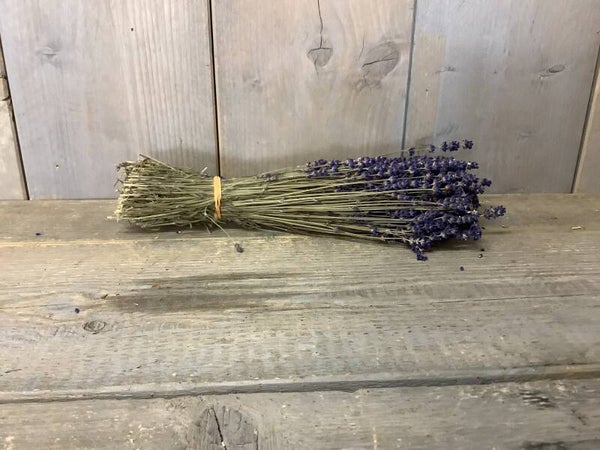 Lavendel bos