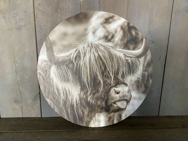 Muurcirkel hooglander sepia