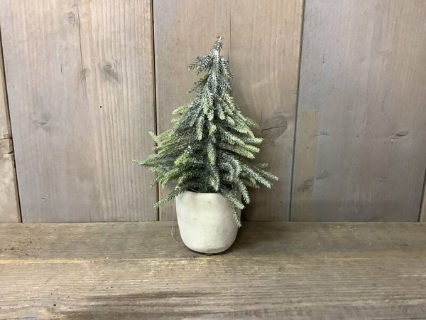 Kerstboom in pot klein