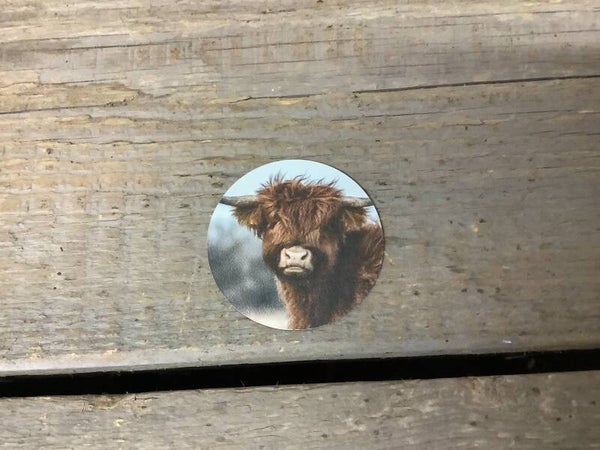 Magneet hooglander bruin klein