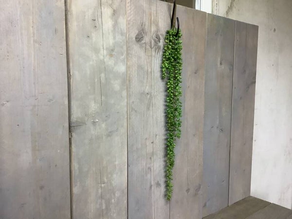 Nep plant hangend (erwtjes)