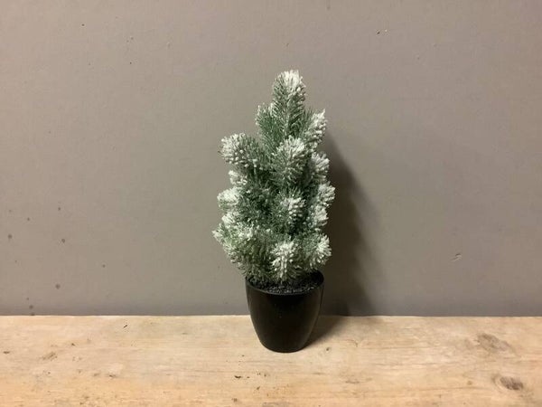 Kerstboom in zwart potje