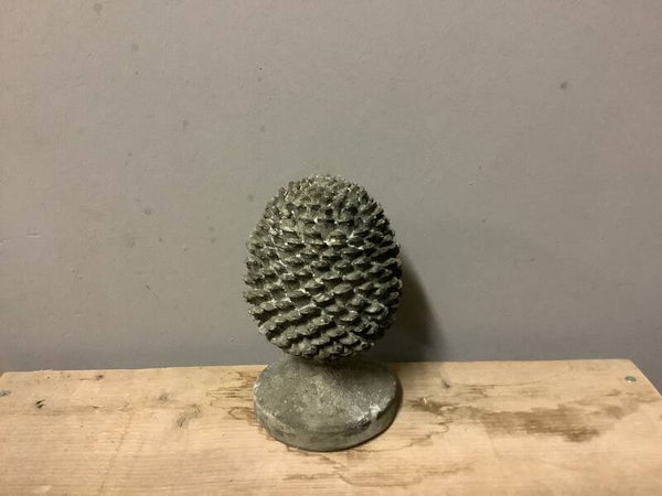 Dennenappel op voet groot