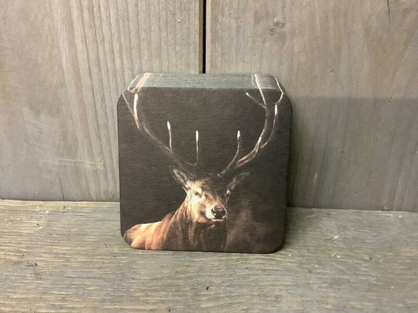 Onderzetters papier 20 stuks