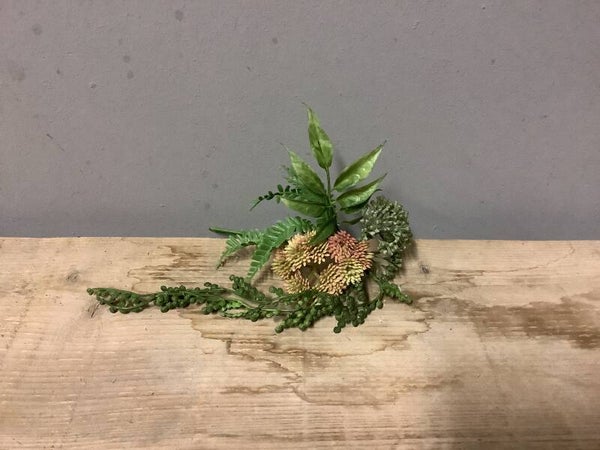 Bosje varen en sedum