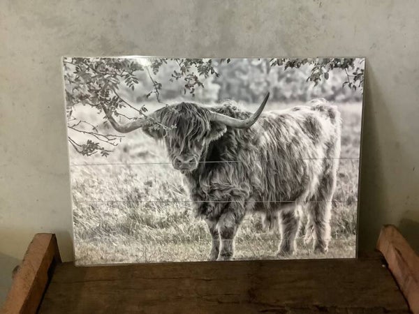 Placemat hooglander 3