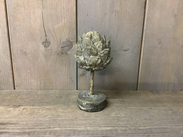 Artisjok op voet klein