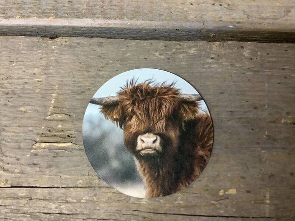 Magneet hooglander bruin groot