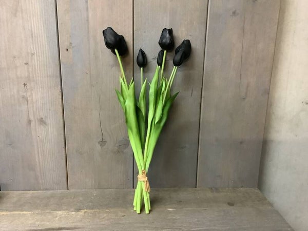Tulpen zwart 7 stuks