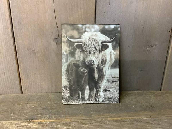 Decobordje hooglander met kalfje