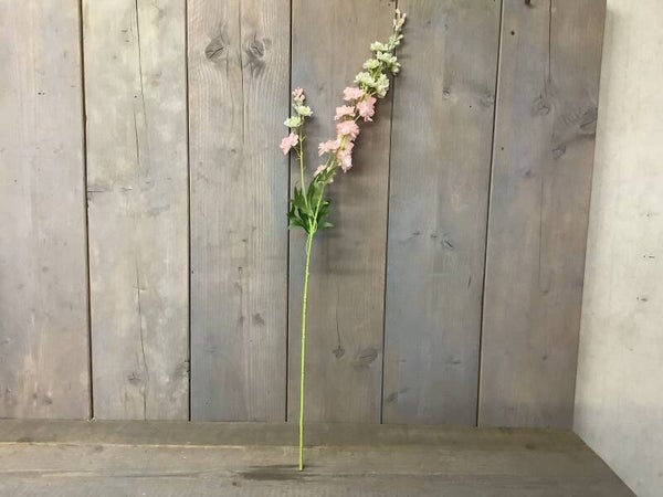 Delphinium soft pink