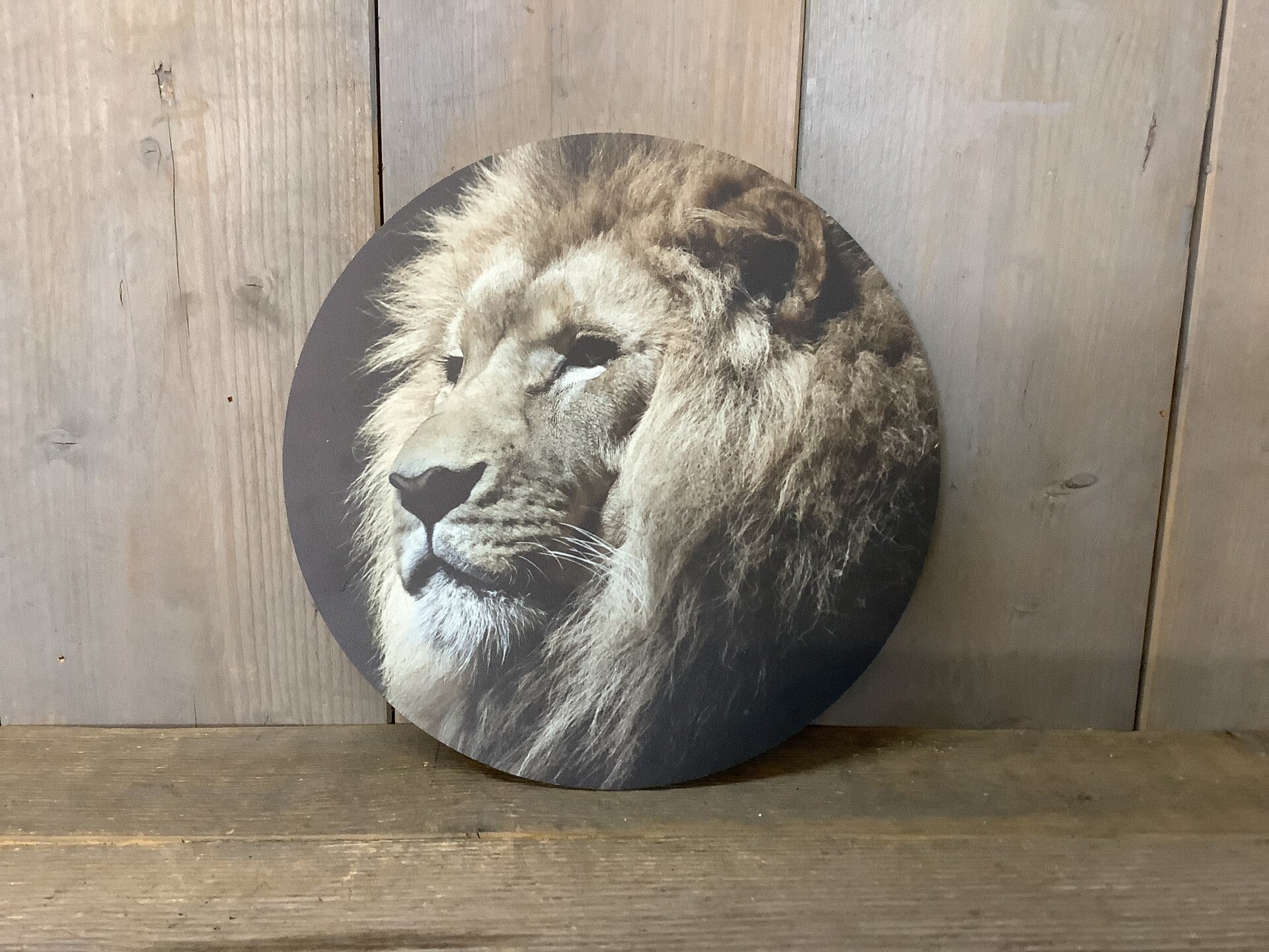Muurcirkel leeuw