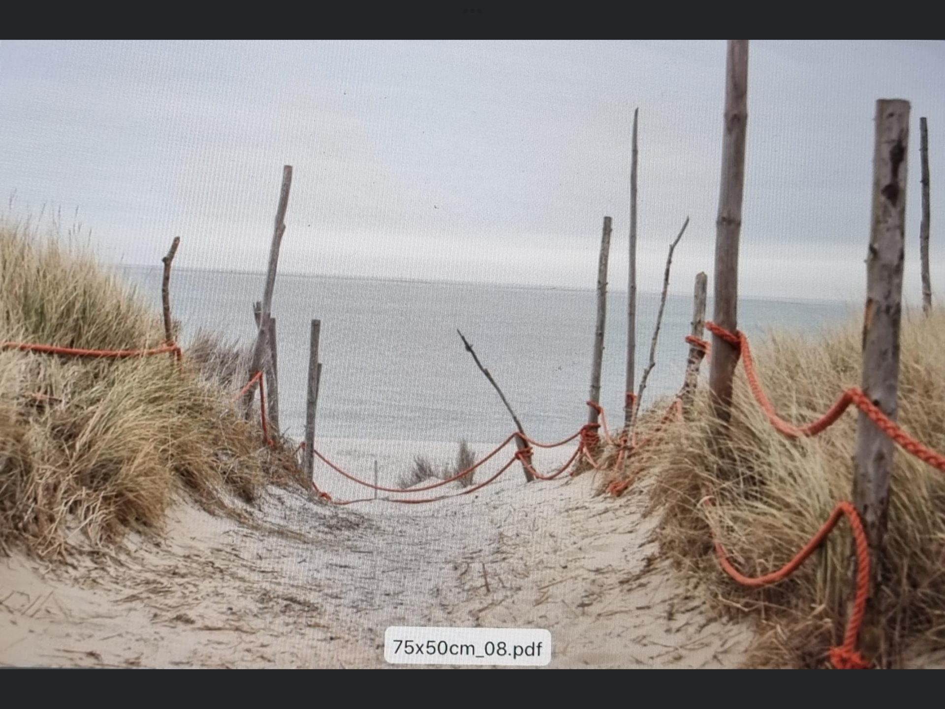 Beschermplaat kookplaat