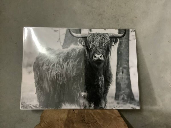 Placemat hooglander 4