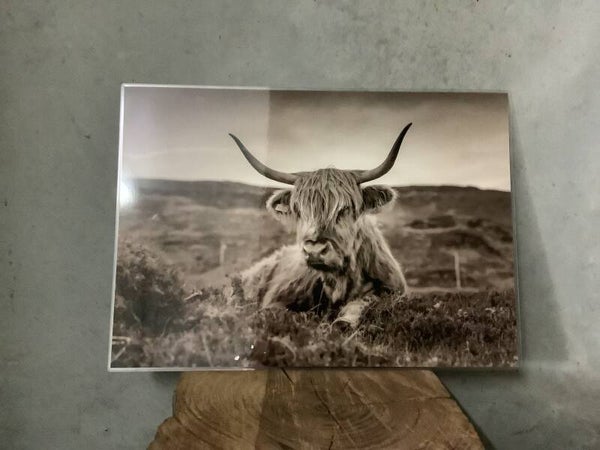 Placemat hooglander 5