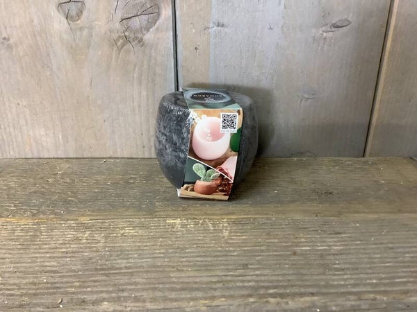 Aroma bowl Musk