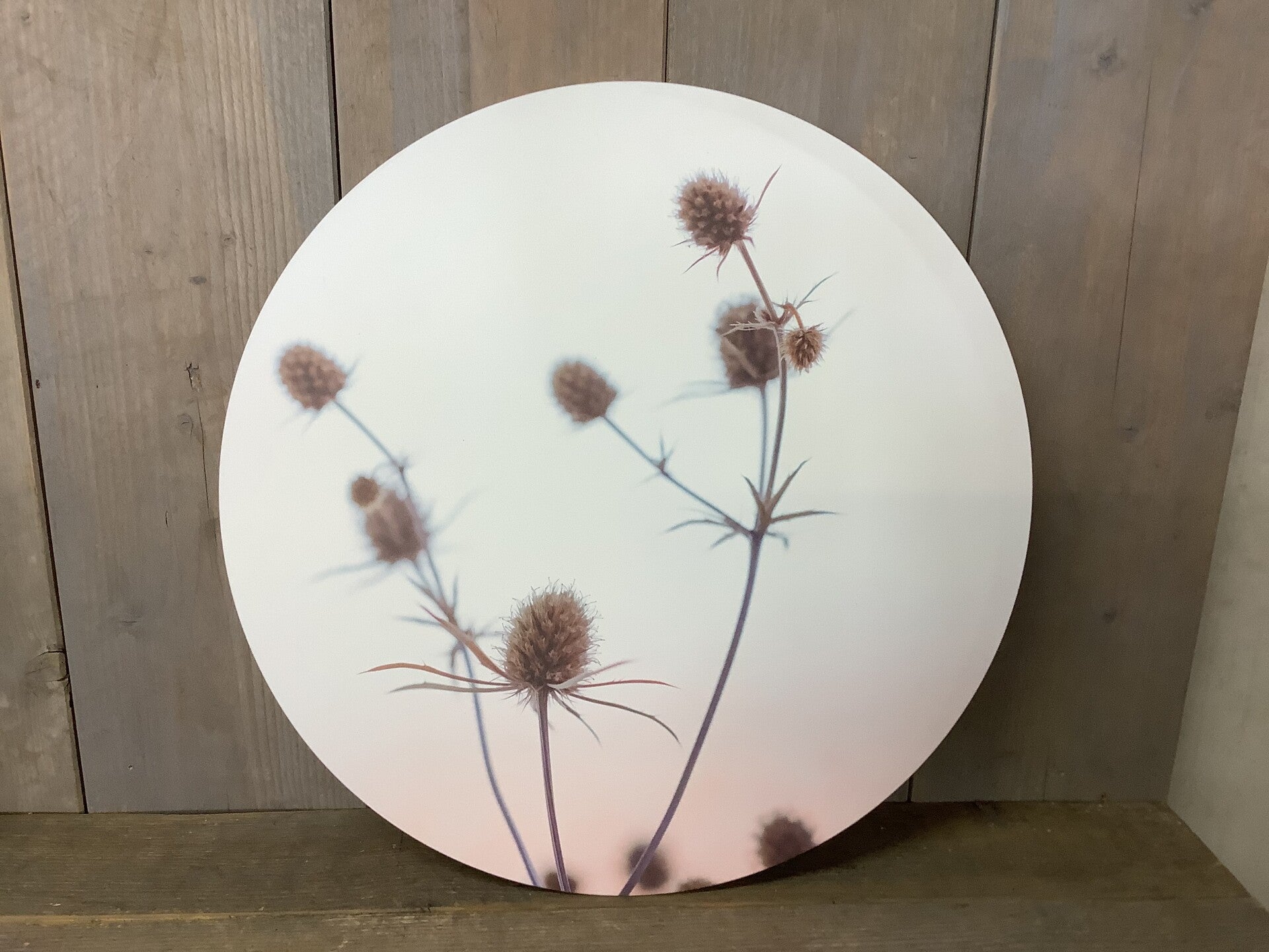 Muurcirkel bolletjes