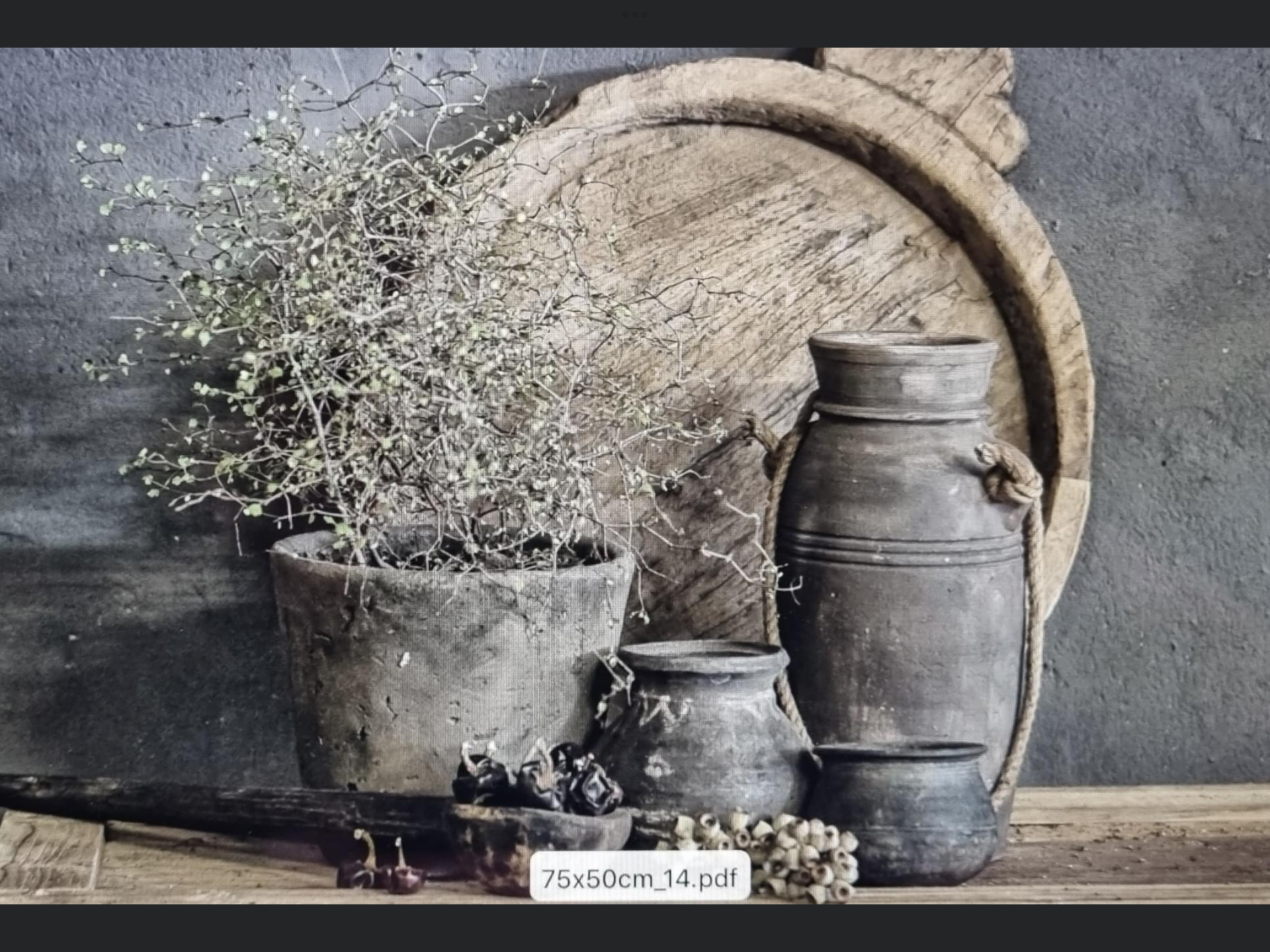 Beschermplaat kookplaat