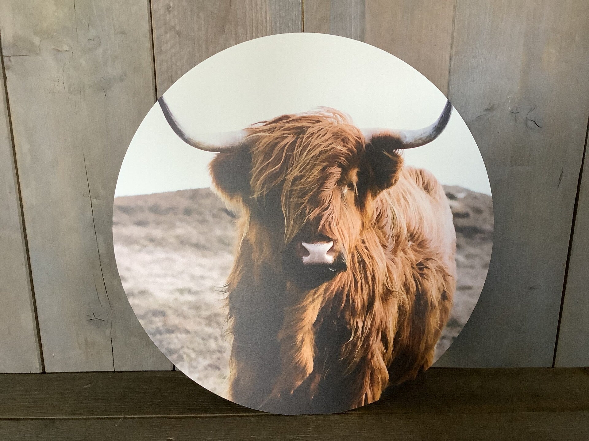 Muurcirkel hooglander