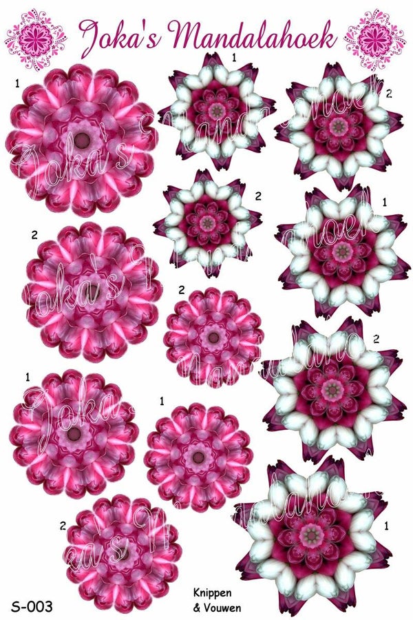 S-003