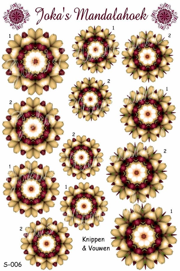 S-006