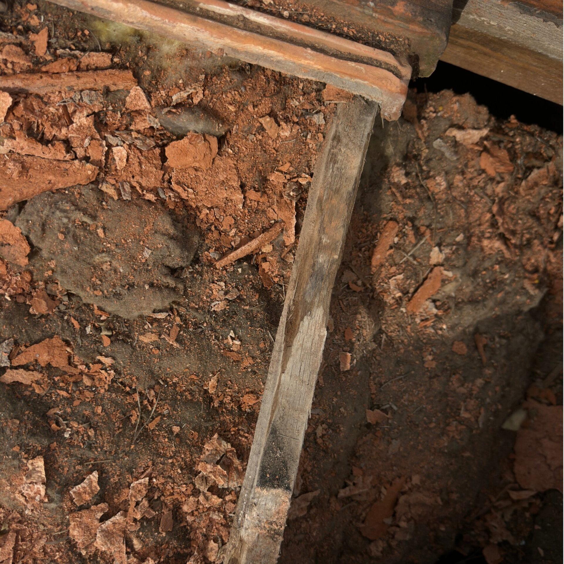Traces d’humidité, de moisissure ou de fuite près de la charpente.