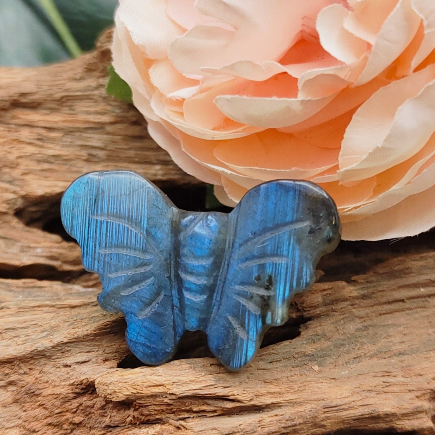 Labradoriet vlinder mini 3