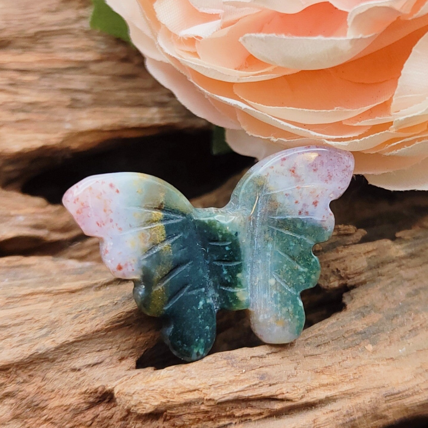 Oceaan Jaspis vlinder mini