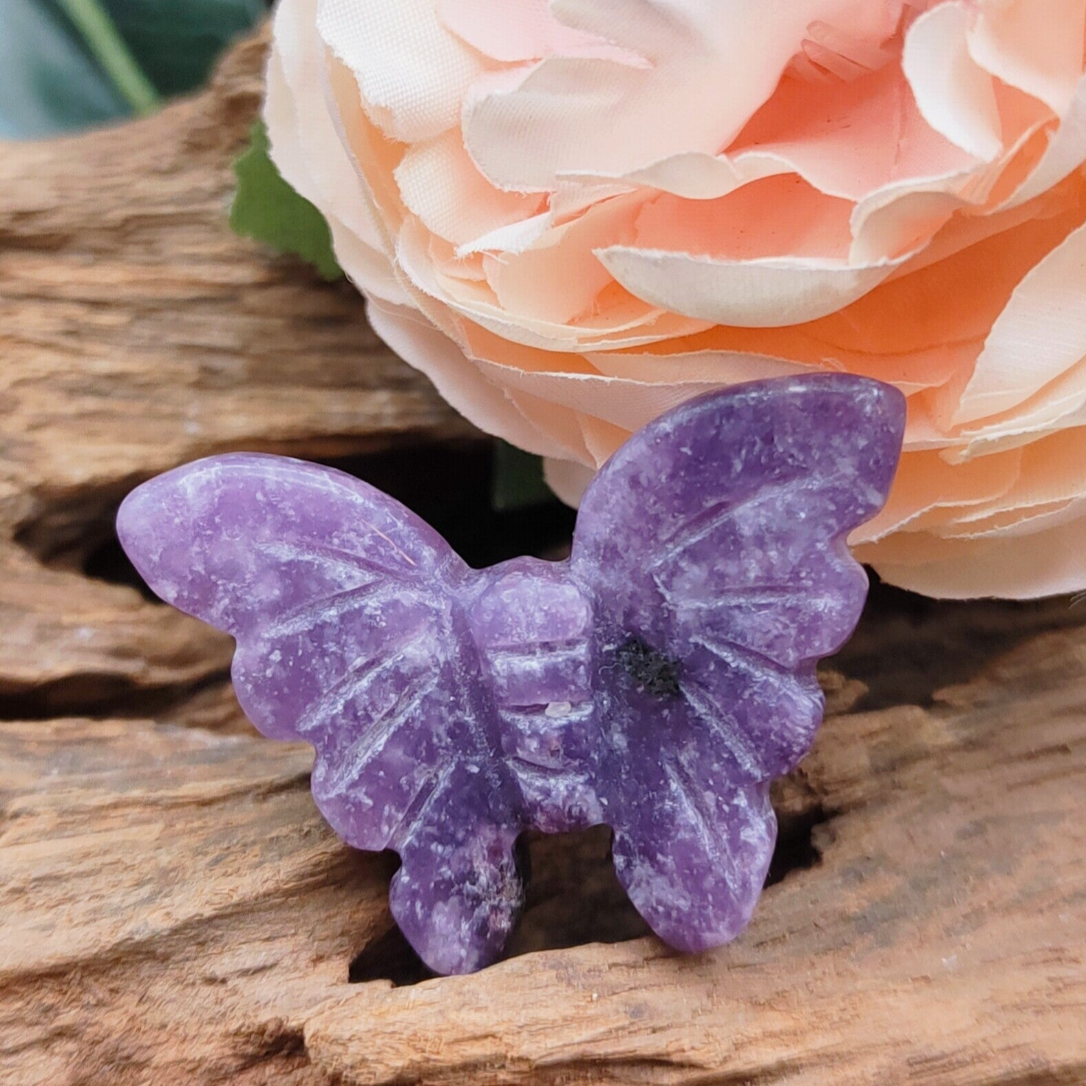 Lepidoliet vlinder mini