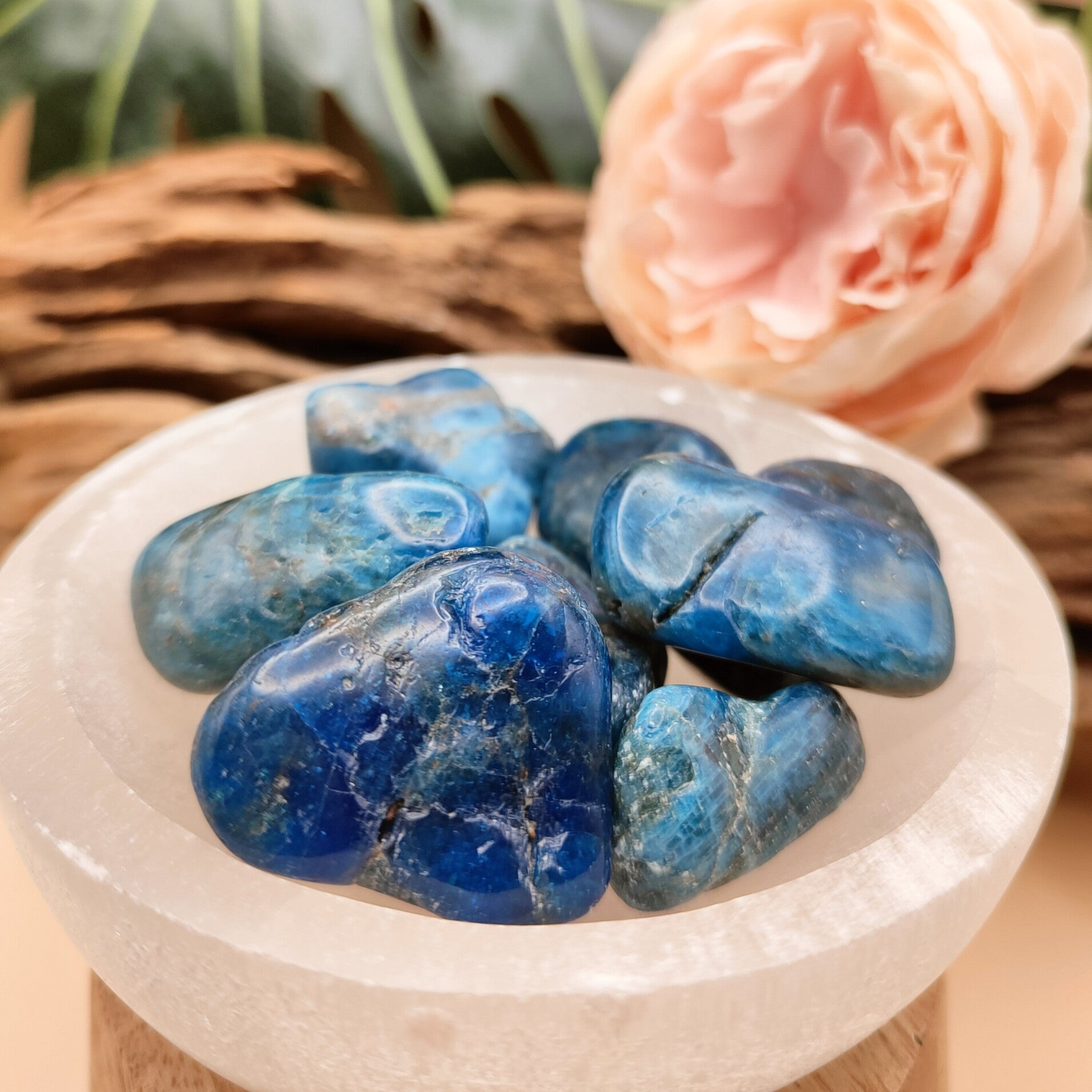 Apatiet trommelsteen L