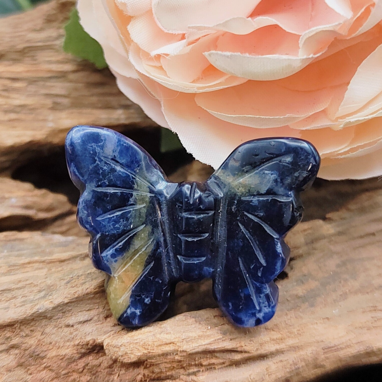 Sodaliet vlinder mini
