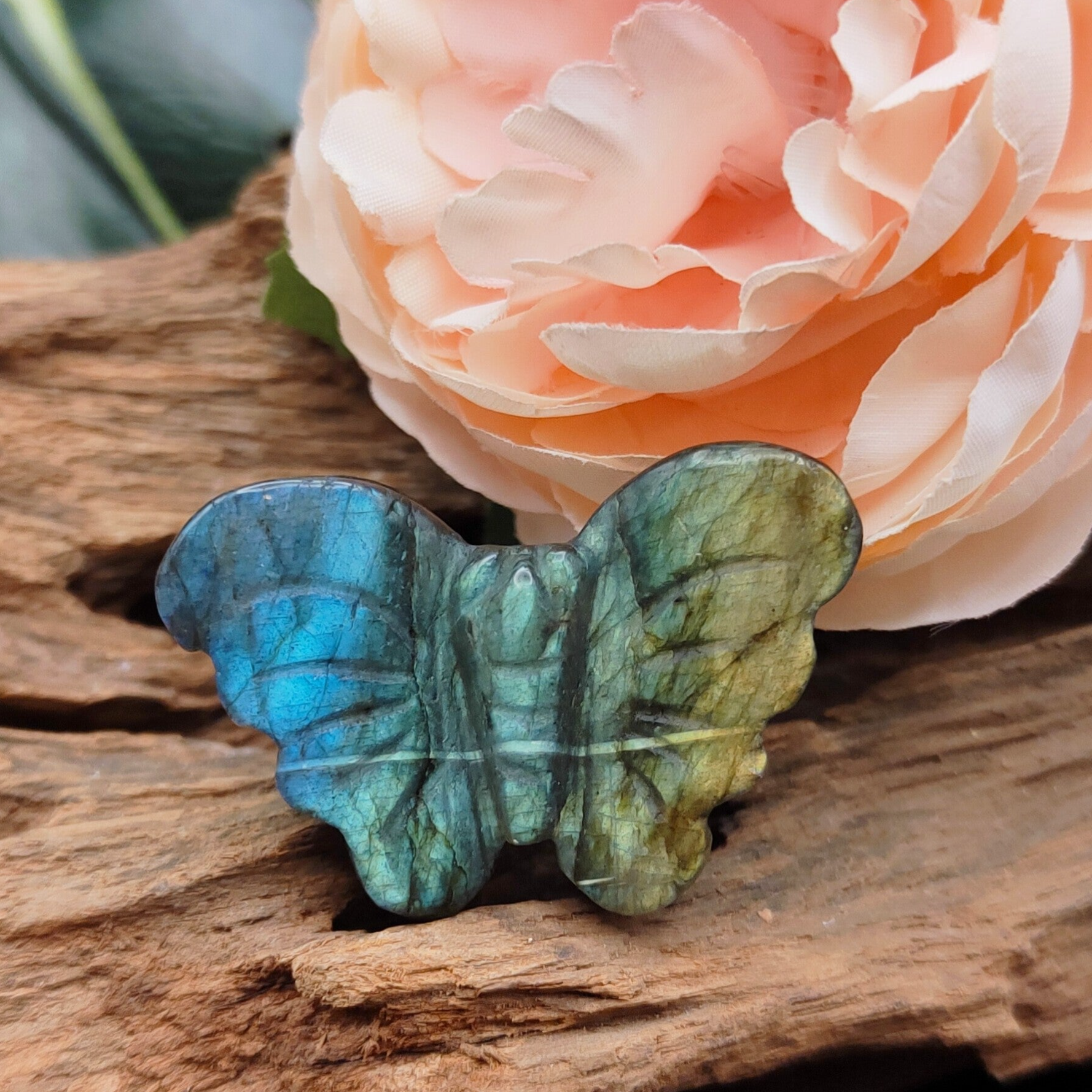 Labradoriet vlinder mini 1