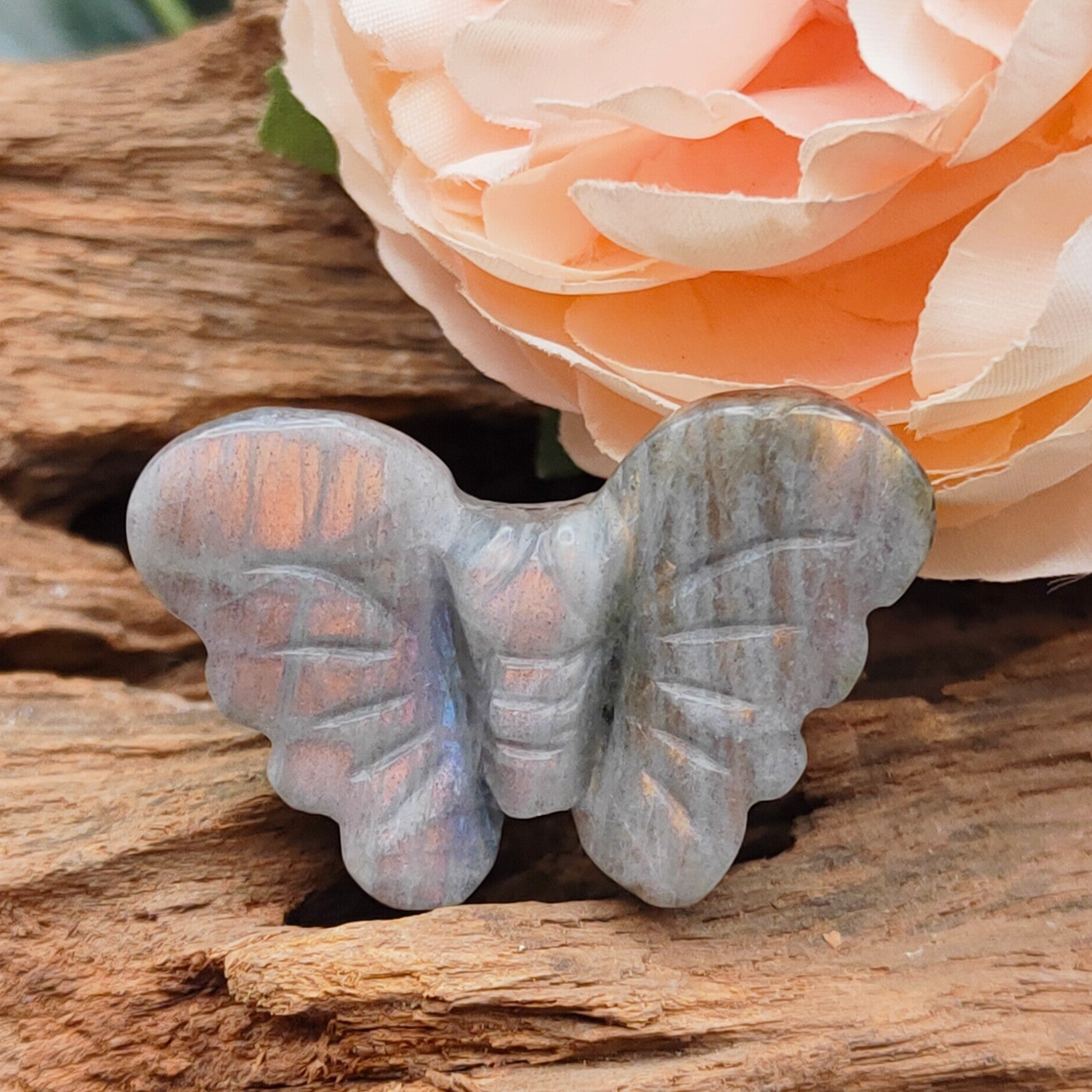 Labradoriet vlinder mini 2