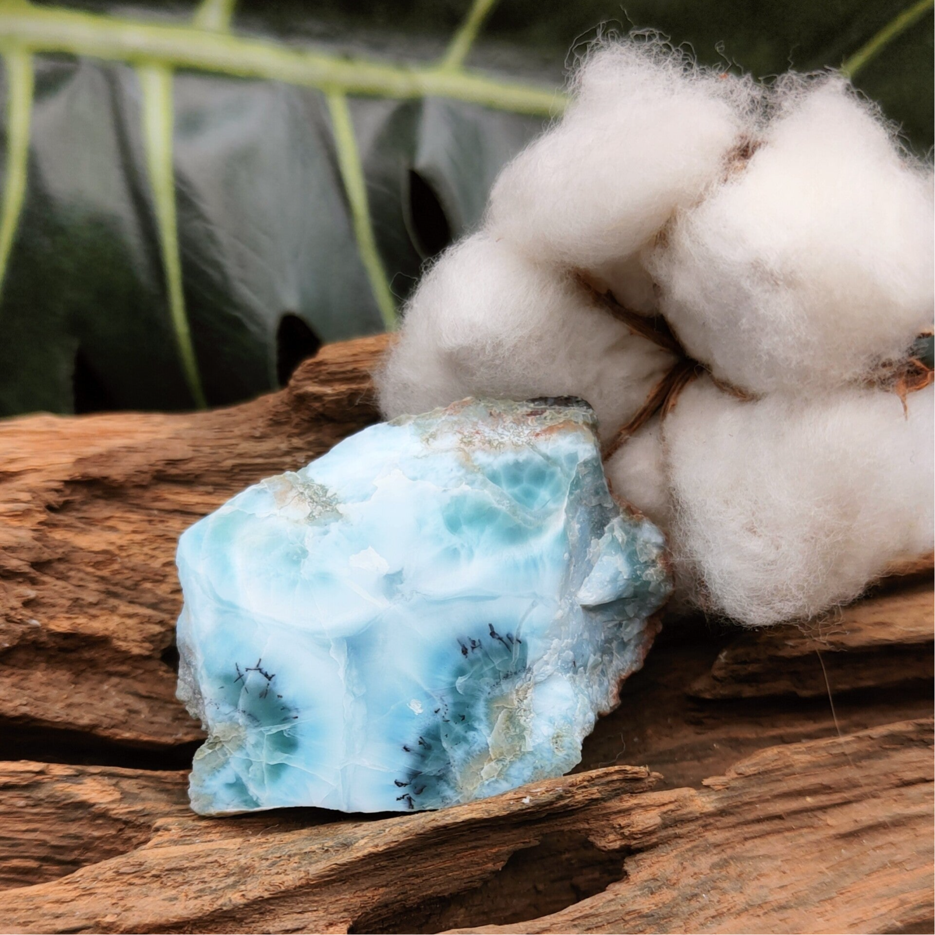 Larimar 2