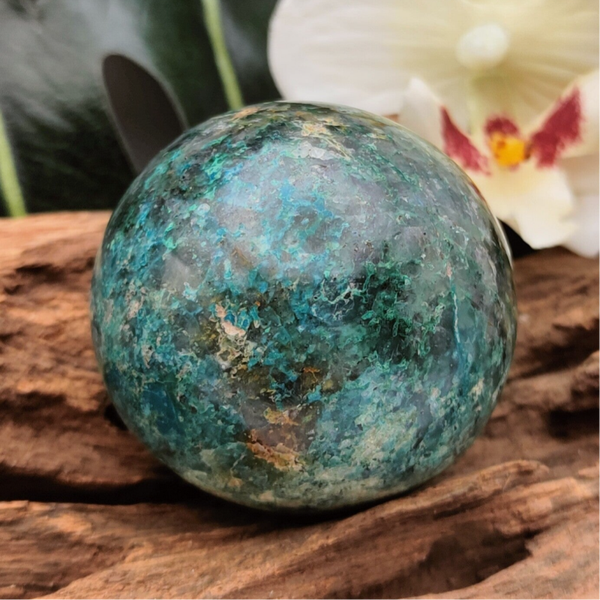 Chrysocolla bol