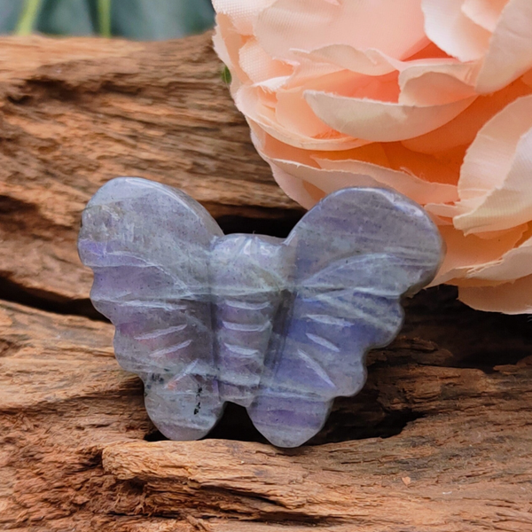 Labradoriet vlinder mini 5