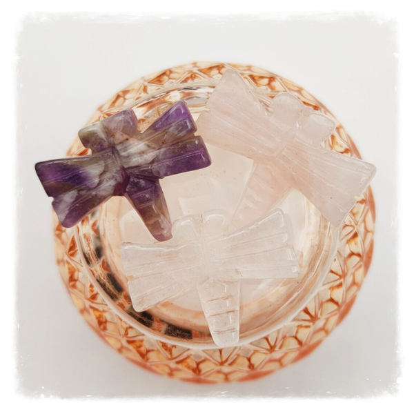 Gouden Driehoek libelle mini