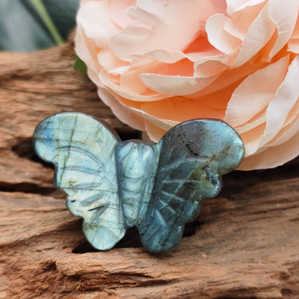 Labradoriet vlinder mini 4