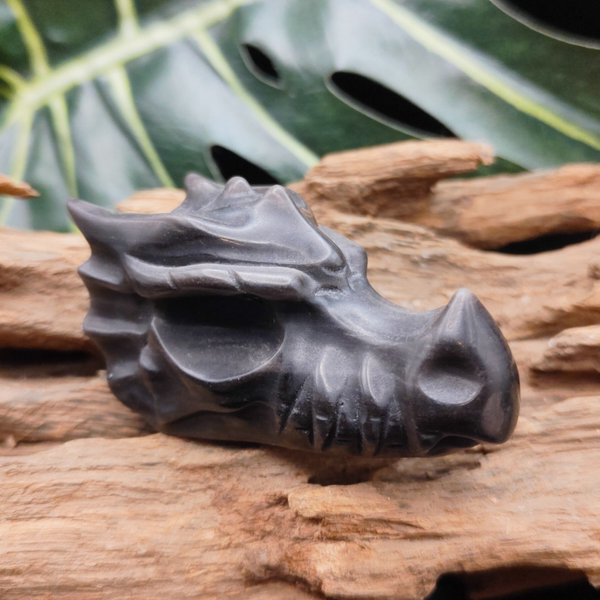 Draak Zilver Obsidiaan 2