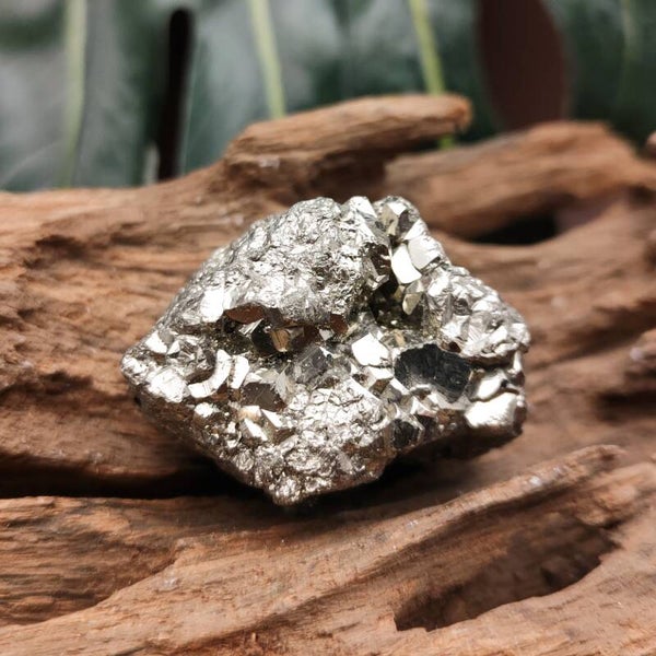 Pyriet cluster 2