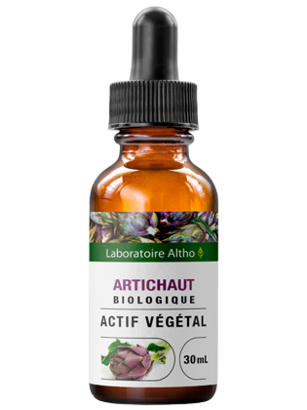 Artichaut bio