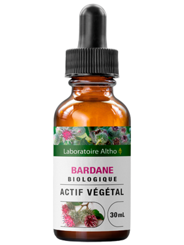 Bardane bio