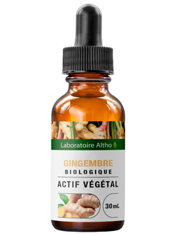 Gingembre bio