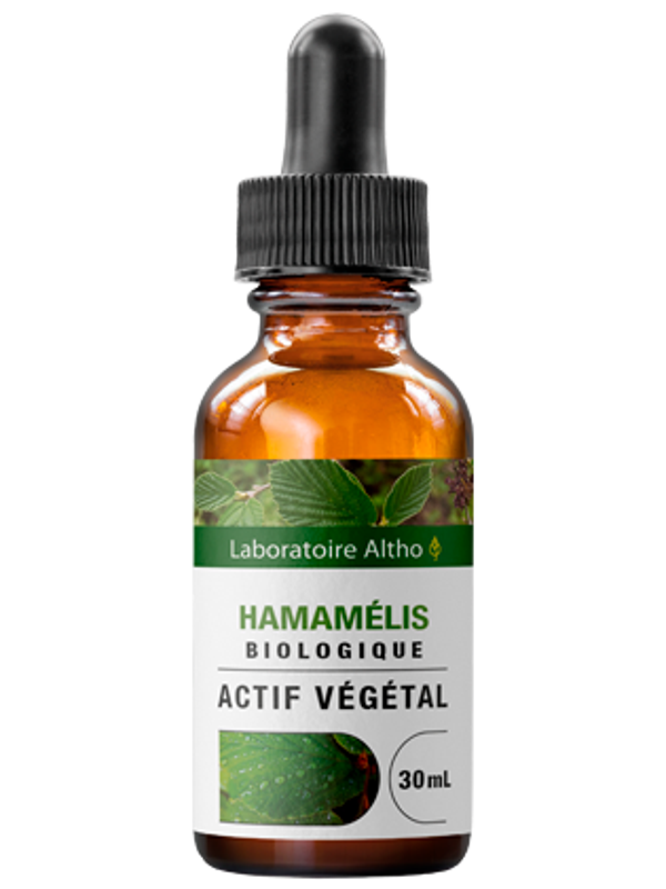 Hamamélis bio