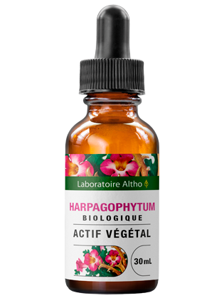 Harpagophytum bio