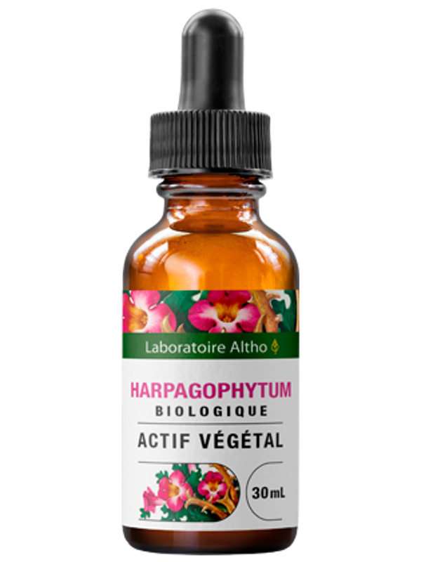 Harpagophytum bio