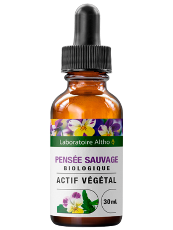 Pensée sauvage bio