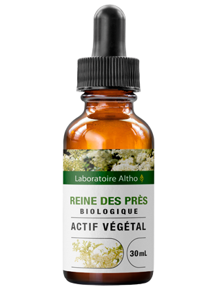 Reine des prés bio