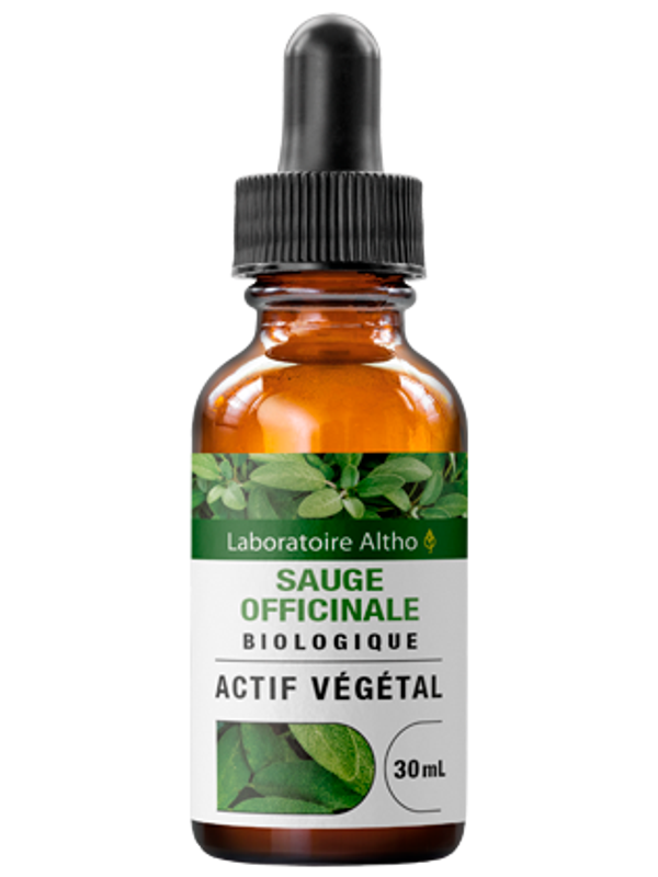 Sauge officinale bio